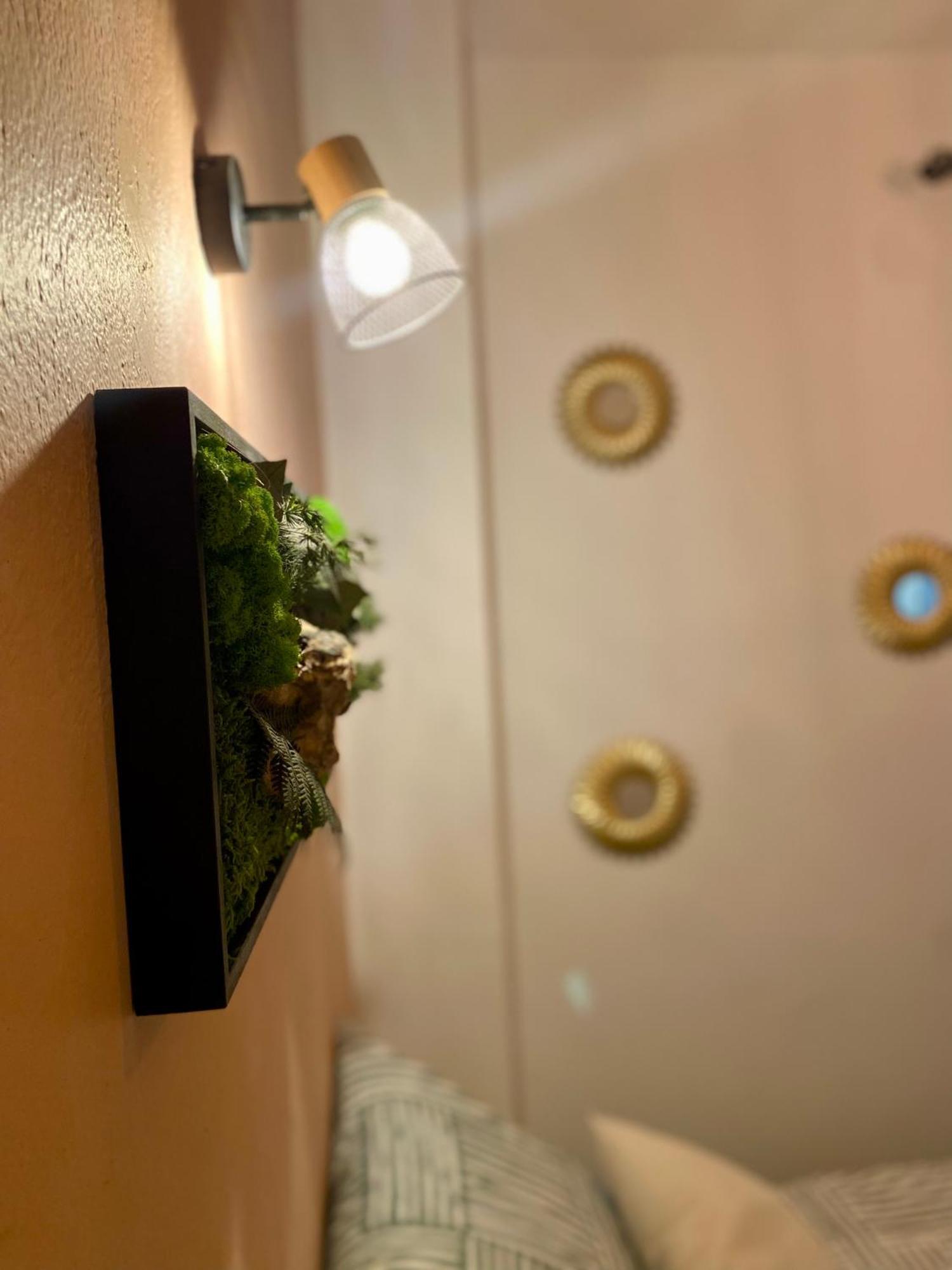 Magnifique Appartement Avignon Intra-Muros Eksteriør bilde